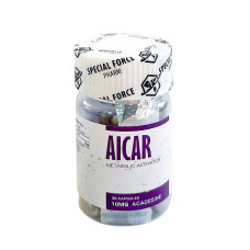Aicar 30 капсул (10 мг/1 кап.)